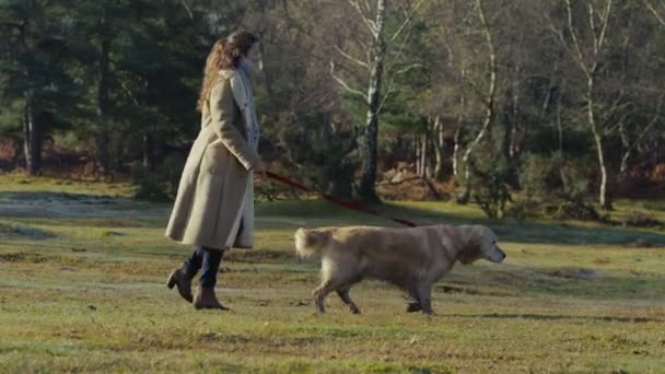 Paar geht mit Hund im Freien spazieren — Stockvideo