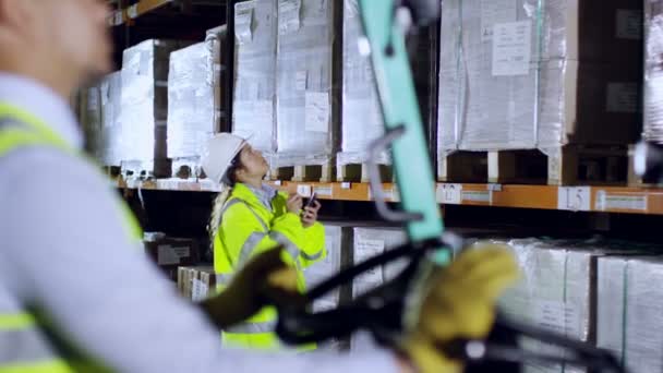 Trabalhadores estão verificando estoques — Vídeo de Stock