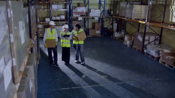 Drie werknemers lopen langs het gangpad van magazijn — Stockvideo