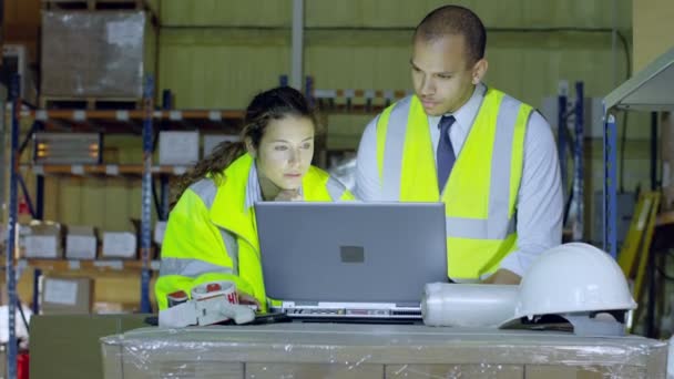 Deux employés d'entrepôt discutent affaires — Video