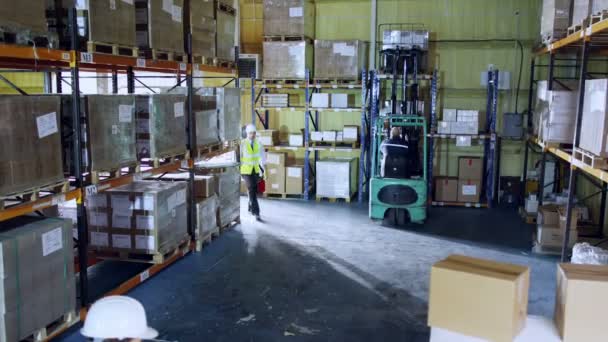 Male and female warehouse workers moving boxes around — Stock Video