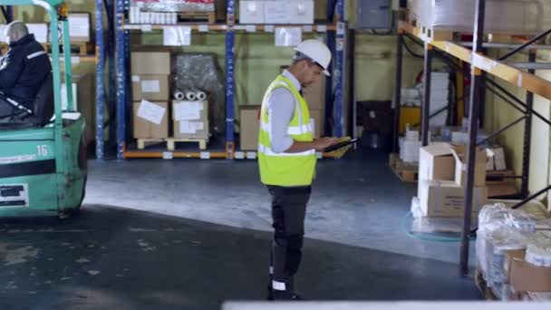 Trabajadores en almacenes que controlan existencias — Vídeo de stock