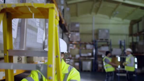 Travailleur en entrepôt vérifier le stock sur l'étagère — Video