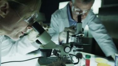 Laboratuvarda çalışan erkek ve kadın bilim adamları