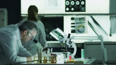 birlikte laboratuvarda çalışan araştırmacılar