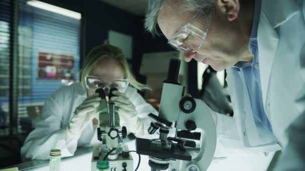 Férfi és női tudósok laboratóriumi dolgozó — Stock videók
