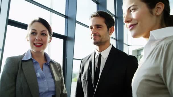 El equipo de negocios está teniendo conversación — Vídeos de Stock