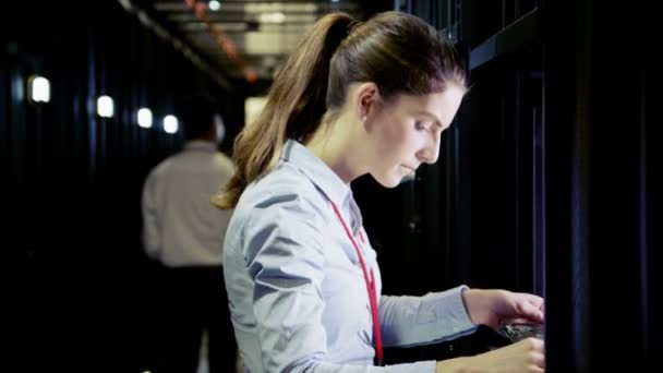 Team of people working at data centre — Stock video