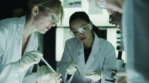 Equipe de pesquisa médica trabalhando em laboratório — Vídeo de Stock