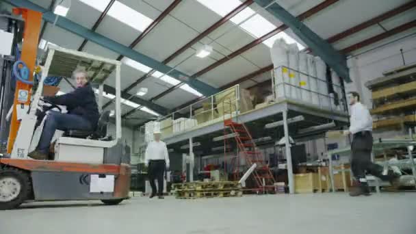 Работники склада, перевозящие и перевозящие товары и материалы — стоковое видео