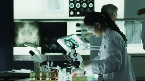 Researchers working together in laboratory — Stock Video