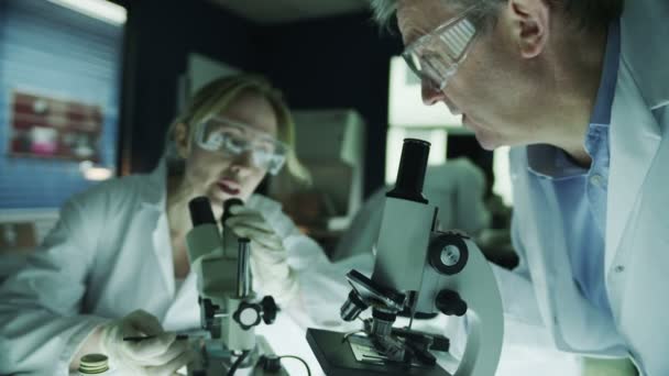 Científicos masculinos y femeninos trabajando en laboratorio — Vídeo de stock