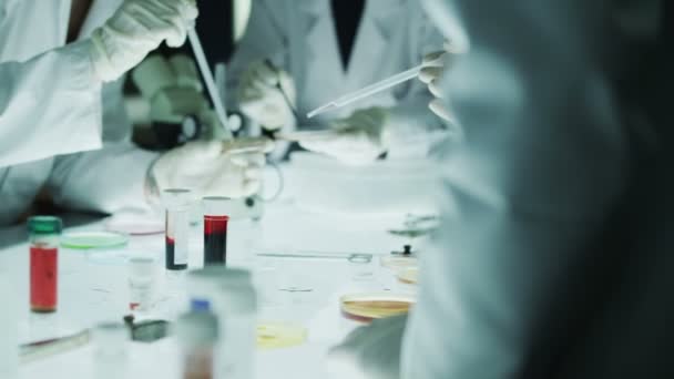 Equipo de investigación médica trabajando en laboratorio — Vídeos de Stock