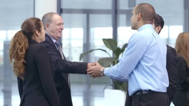 Business team  shake hands — Stock Video