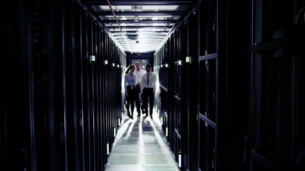 Portrait of three smiling IT workers — Stock Video