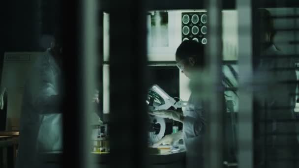 Researchers working in laboratory facility — Stock Video