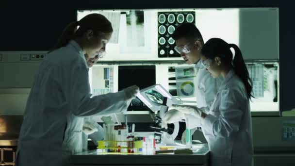 Researchers working in laboratory facility — Stock Video