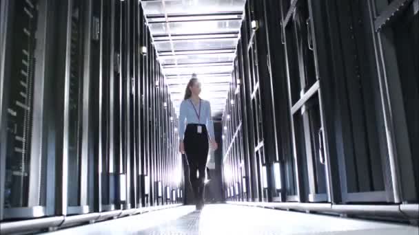 Tre arbetare i datacentret — Stockvideo