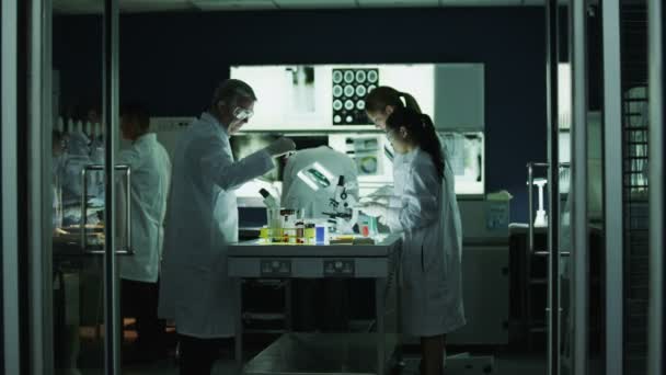 Researchers working together in laboratory — Stock Video