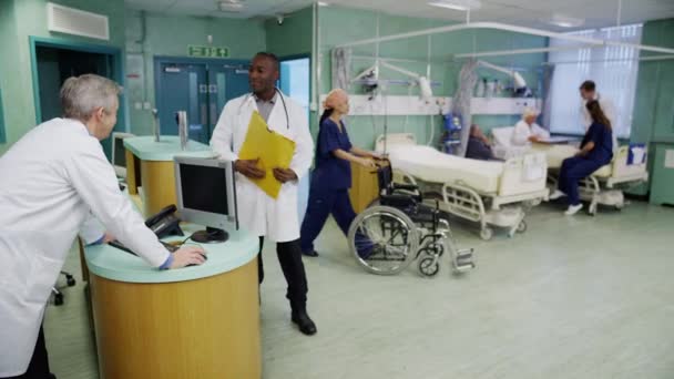 Smiling male doctor on hospital ward — Stock Video