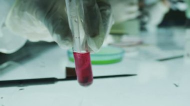 Bilimsel Laboratuarı biyolojik deneyi