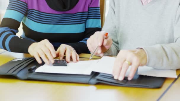 Ouder paar uit hun huishoudelijke rekeningen te werken — Stockvideo