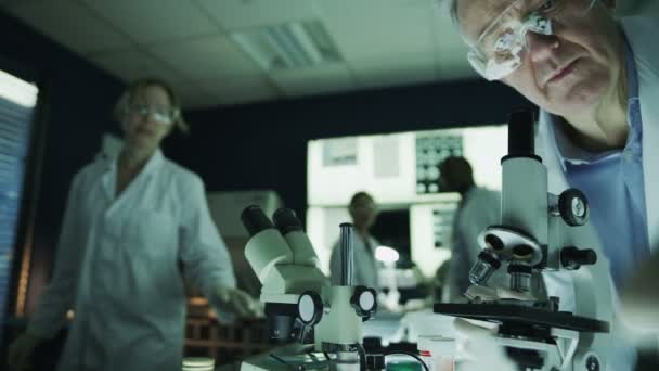 Male and female scientists working in laboratory — Stock Video