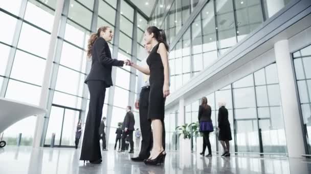 La gente de negocios se encuentra y se dan la mano — Vídeo de stock