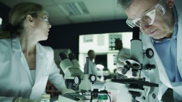 Male and female scientists working in laboratory — Stock Video