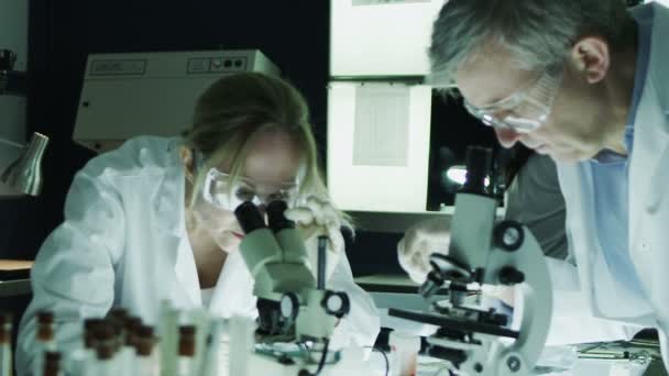 Expertos en investigación masculina y femenina trabajando en laboratorio — Vídeo de stock