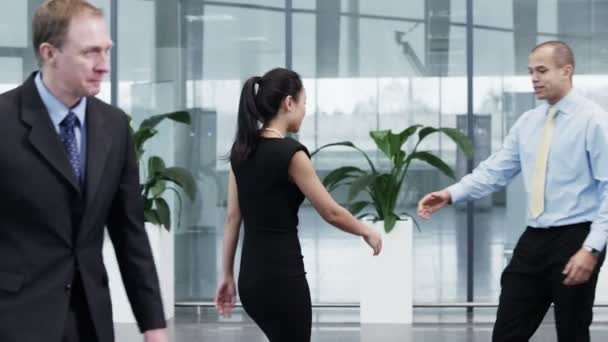 Бизнесмен и деловая женщина встречаются и пожимают друг другу руки — стоковое видео
