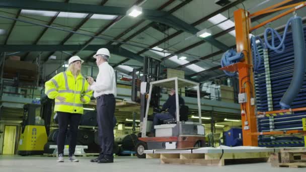 Equipo de trabajadores de almacenes ocupados levantando y moviendo paletas y cajas vacías — Vídeo de stock