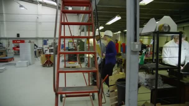Staff members in a busy warehouse, each carrying out their own roles — Stock Video