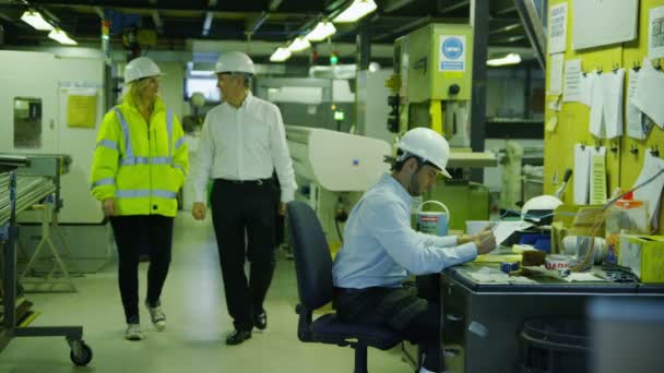 Male and female  warehouse workers in hard hats and reflective clothing are doing their rounds and discussing the logistics of their business. — Stock Video