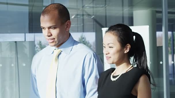 Businessman and businesswoman chat together — Stock Video