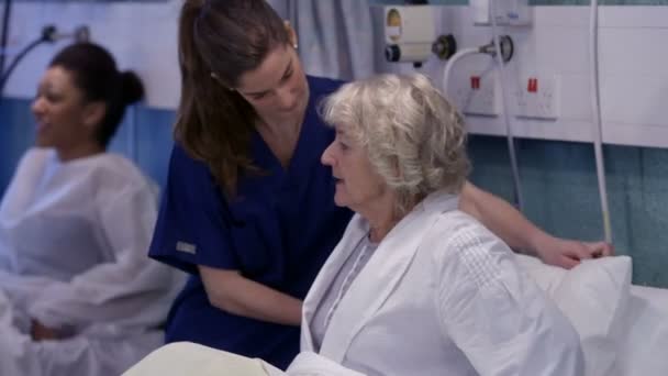 Nurse chats with patient on hospital ward — Stock Video