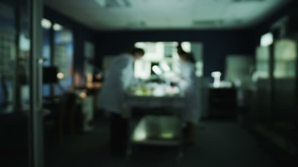 Investigadores trabajando en instalaciones de laboratorio — Vídeos de Stock