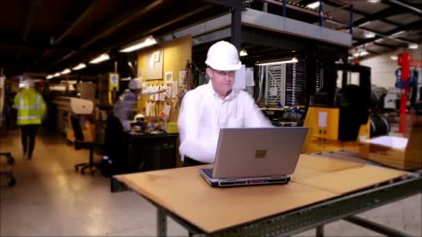 Trabajadores ocupados en un almacén que preparan mercancías para la entrega — Vídeos de Stock