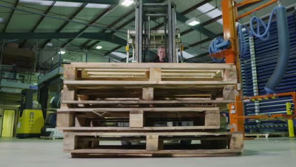 Equipe de trabalhadores de armazém ocupados levantando e movendo paletes de madeira vazias — Vídeo de Stock