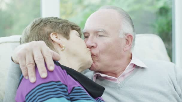 Signora e gentiluomo abbracciare e condividere bacio — Video Stock