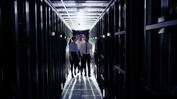 Portrait of three smiling IT workers — Stock Video