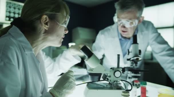 Male and female scientists working in laboratory — Stock Video