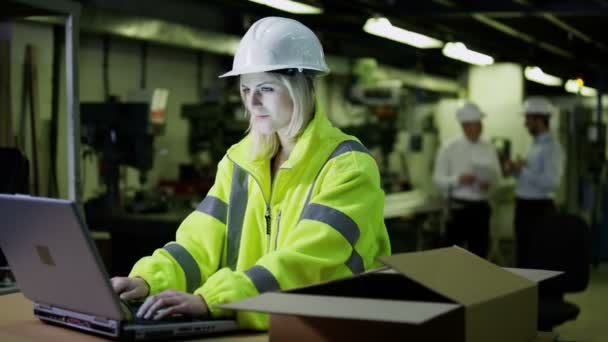 Employée attirante d'entrepôt, travaillant sur un ordinateur portable — Video