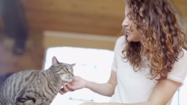 genç kız kedi okşayarak