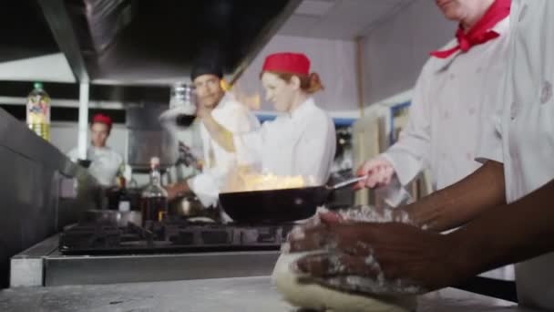 Team of professional chefs preparing and cooking food in a commercial kitchen. — Stock Video