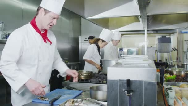 Equipo de chefs profesionales preparando comida en una cocina comercial — Vídeo de stock