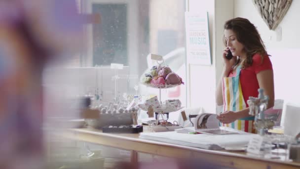 Majitel obchodu je telefonní hovor v práci — Stock video
