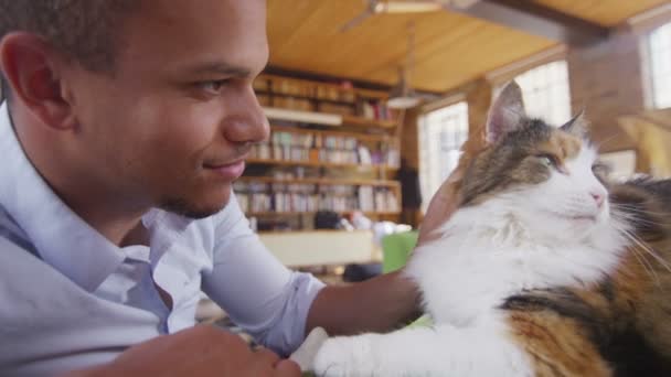 Muž hladí kočku — Stock video