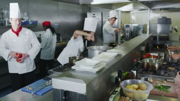 Team professioneller Köche bereitet Essen in einer Großküche zu