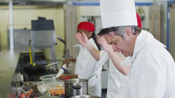 Equipe de chefs profissionais preparando alimentos em uma cozinha comercial — Vídeo de Stock